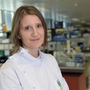 Dr. Maria Prencipe
